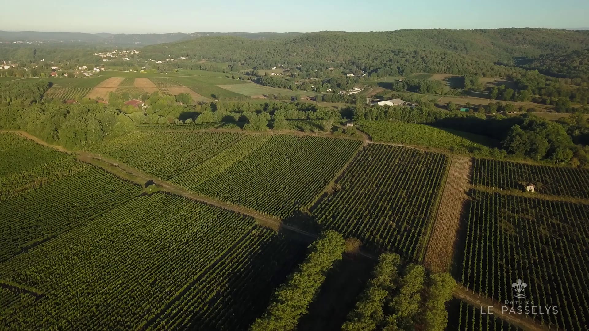 vlcsnap 2021 02 15 14h51m20s184