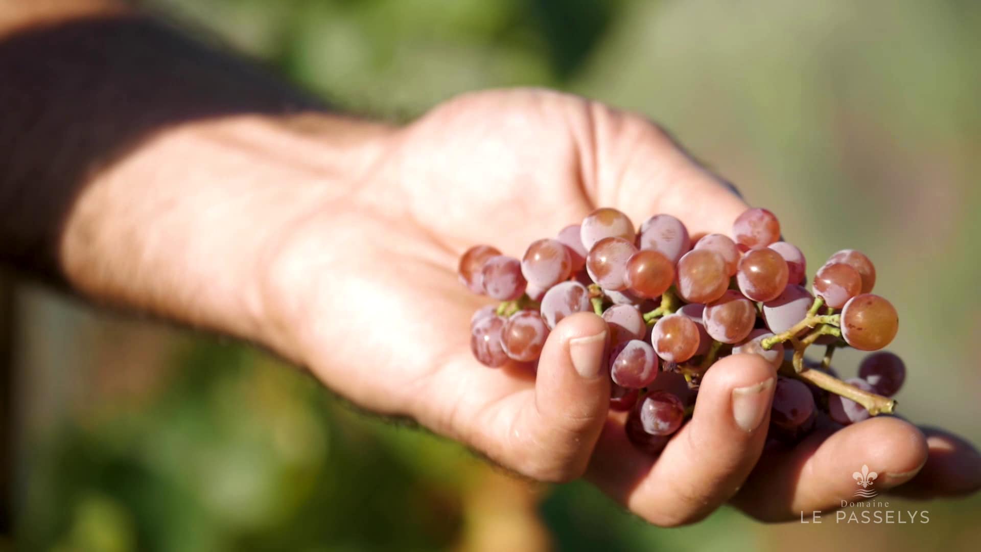 vlcsnap 2021 02 15 14h51m50s393