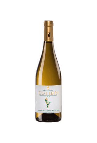 Colibri Blanc